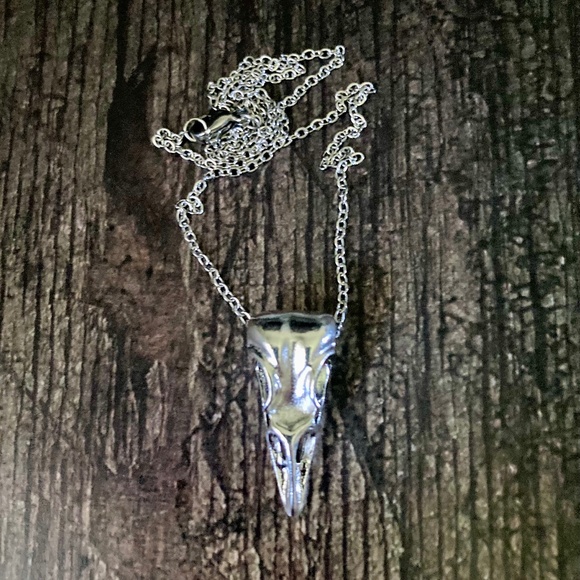 Raven Skull Chain Necklace - Picture 1 of 4
